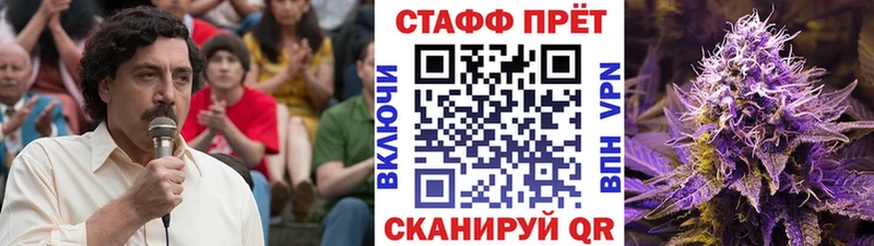 Магазины продажи наркотиков Дорогобуж Амфетамин  Кокаин  ГАШ  hydra маркетплейс  Галлюциногенные грибы  Конопля  Меф мяу мяу  A-PVP 