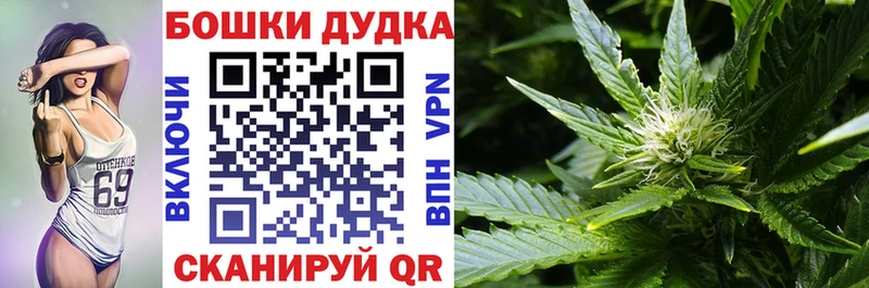 Каннабис ГИДРОПОН  Дорогобуж 